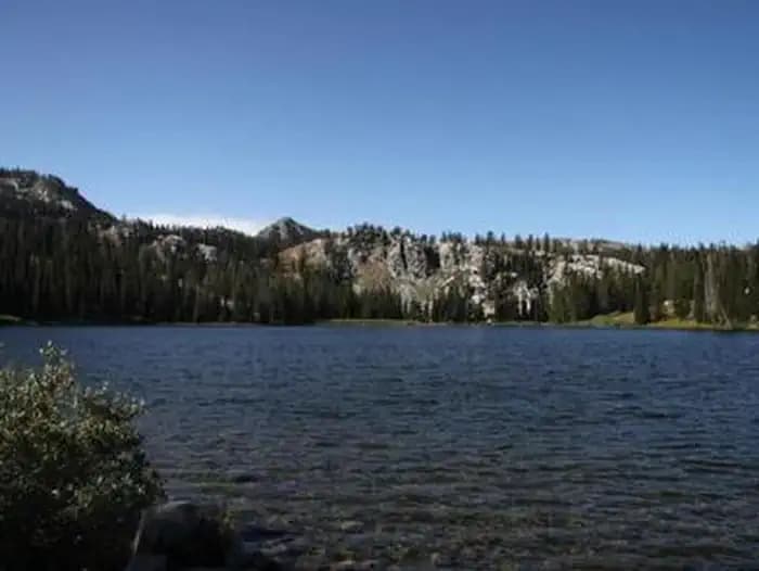 BIG TRINITY CABIN