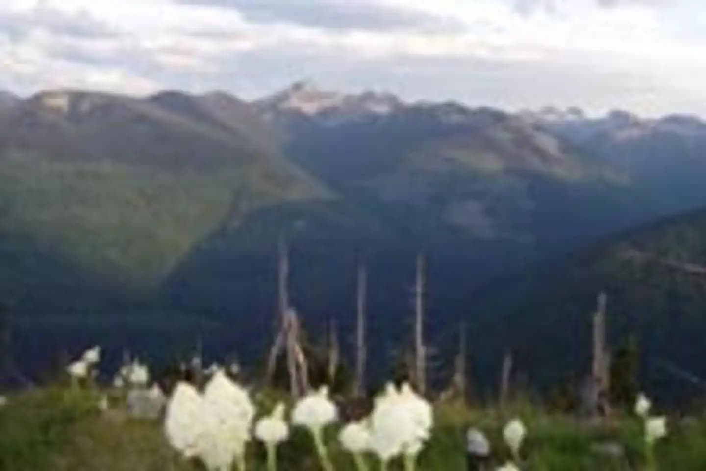 SHORTY PEAK LOOKOUT
