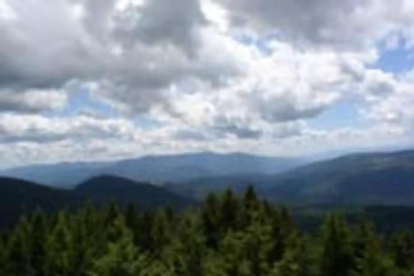 DEER RIDGE LOOKOUT