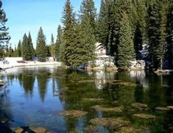 BIG SPRINGS GRP. AREA - ISLAND PARK