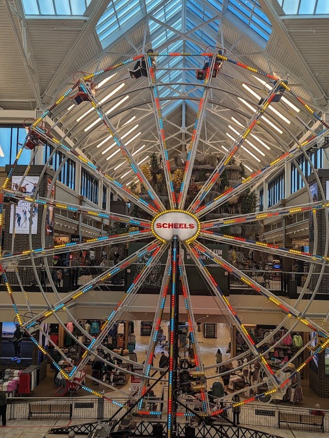 Scheels