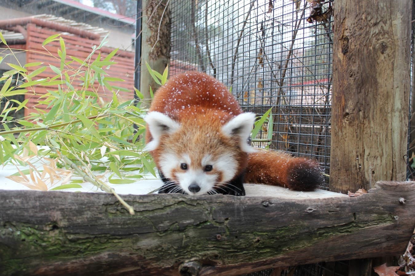 Zoo Boise