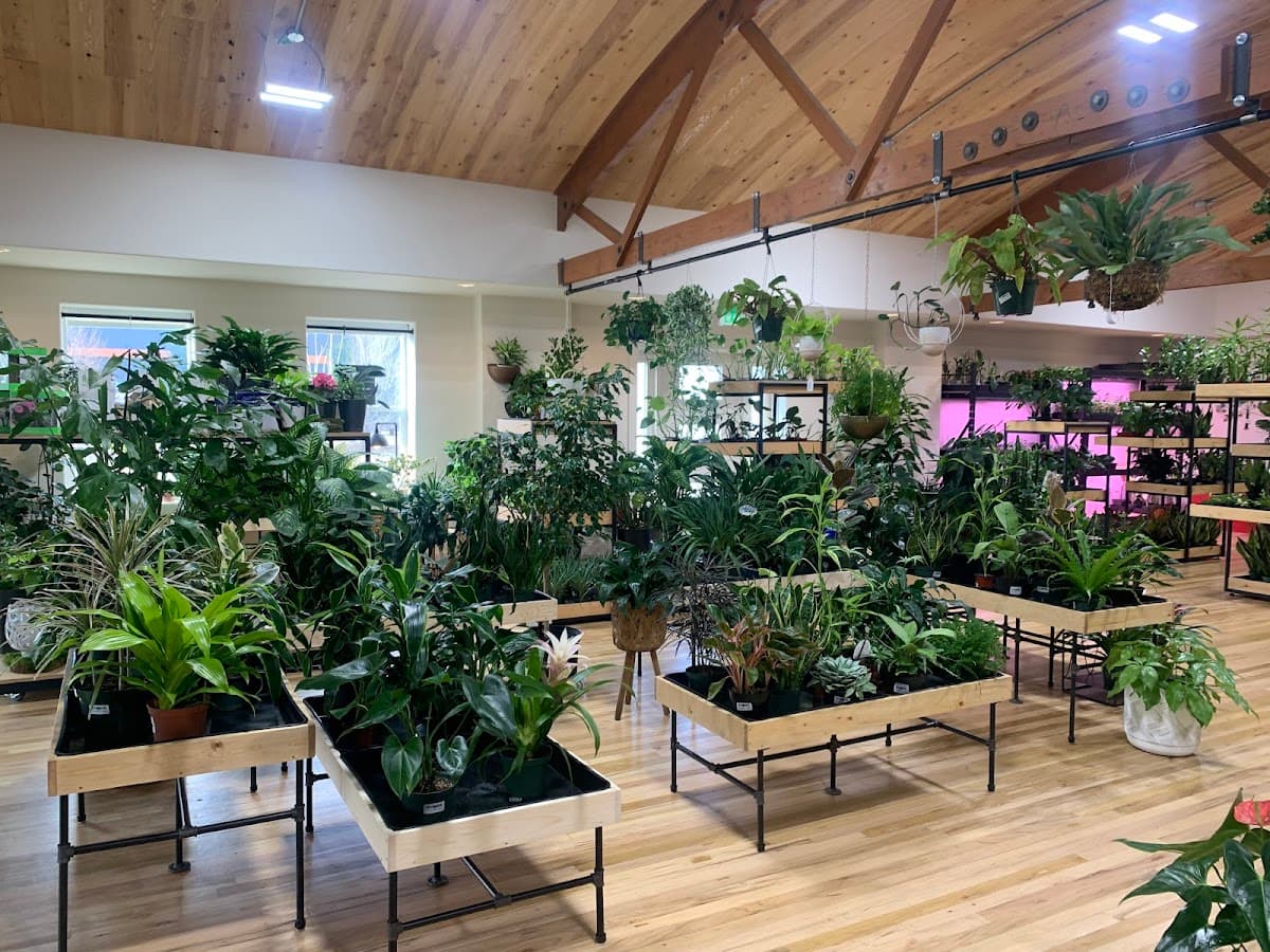 Greenscapes Boutique