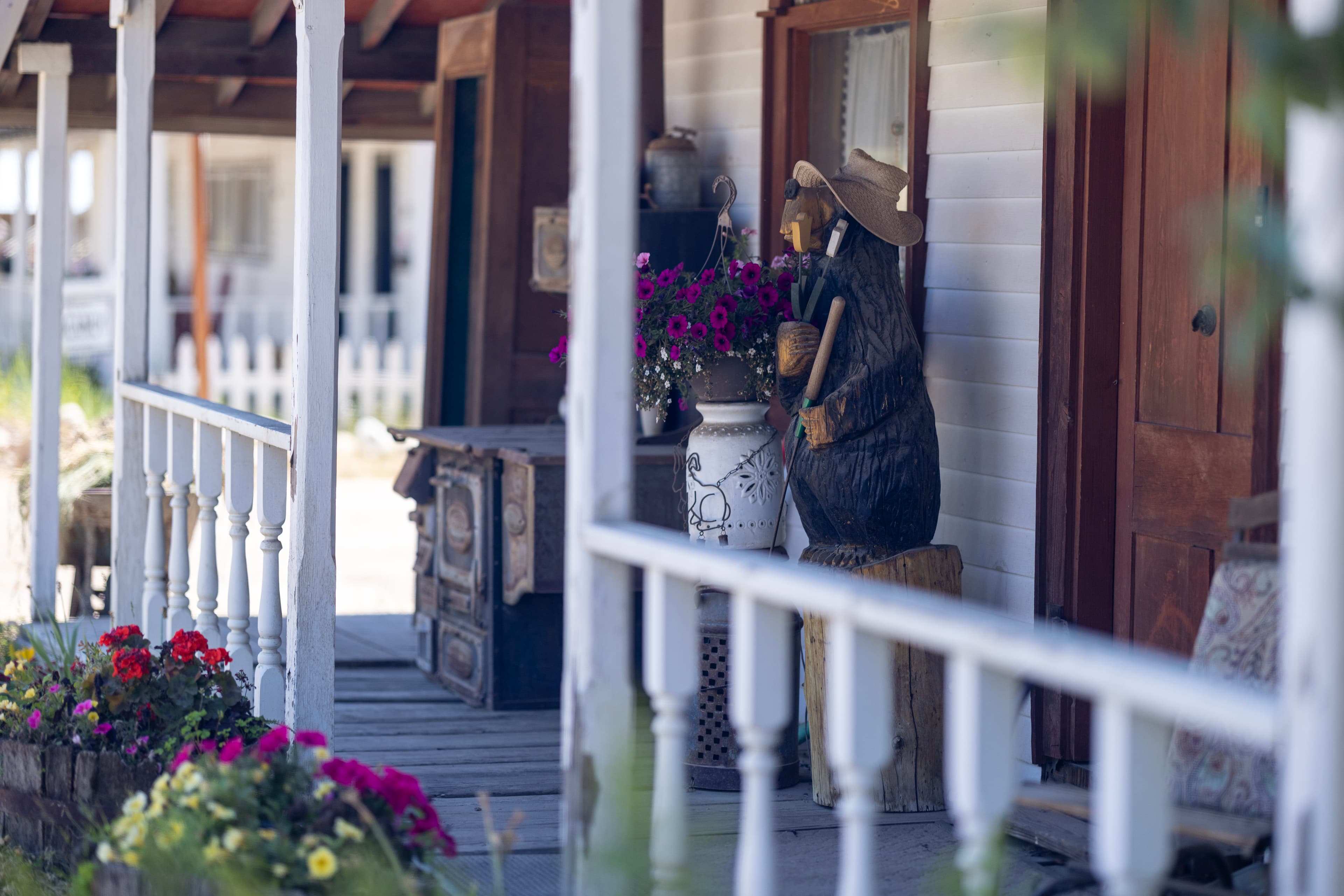 Idaho City Bear on Porch