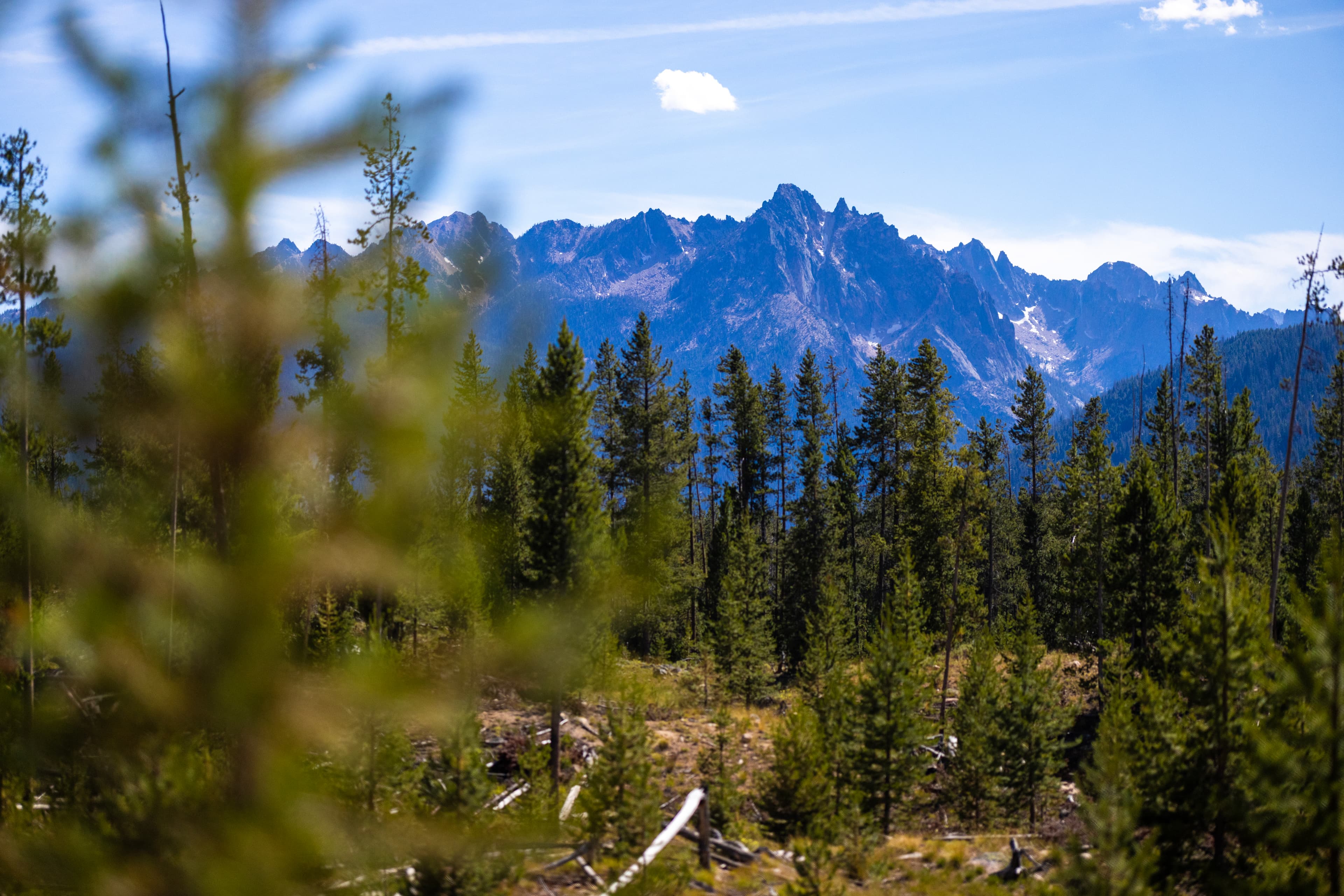 Sawtooth Mountains, Stanley