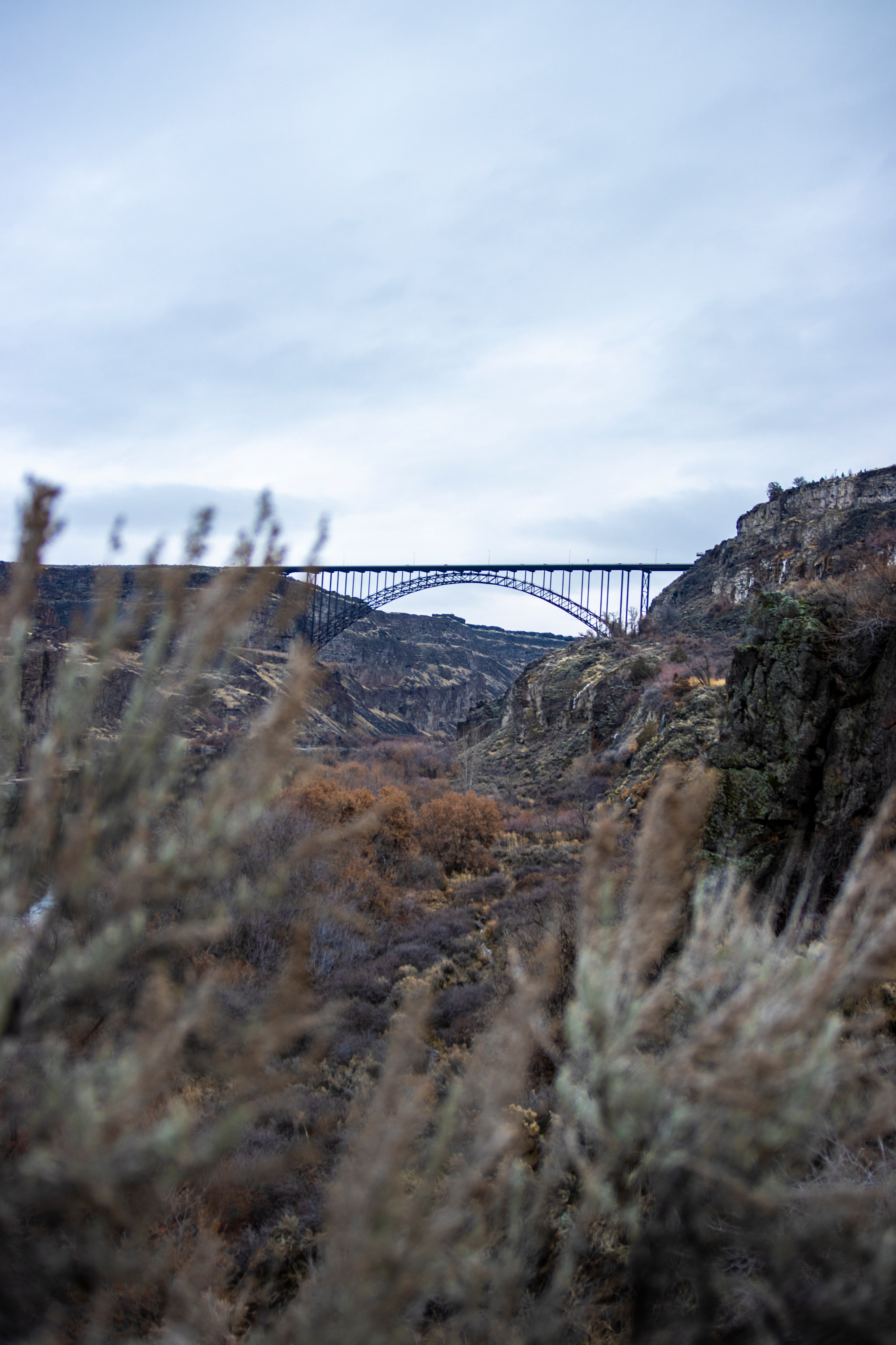 Twin Falls, Snake River