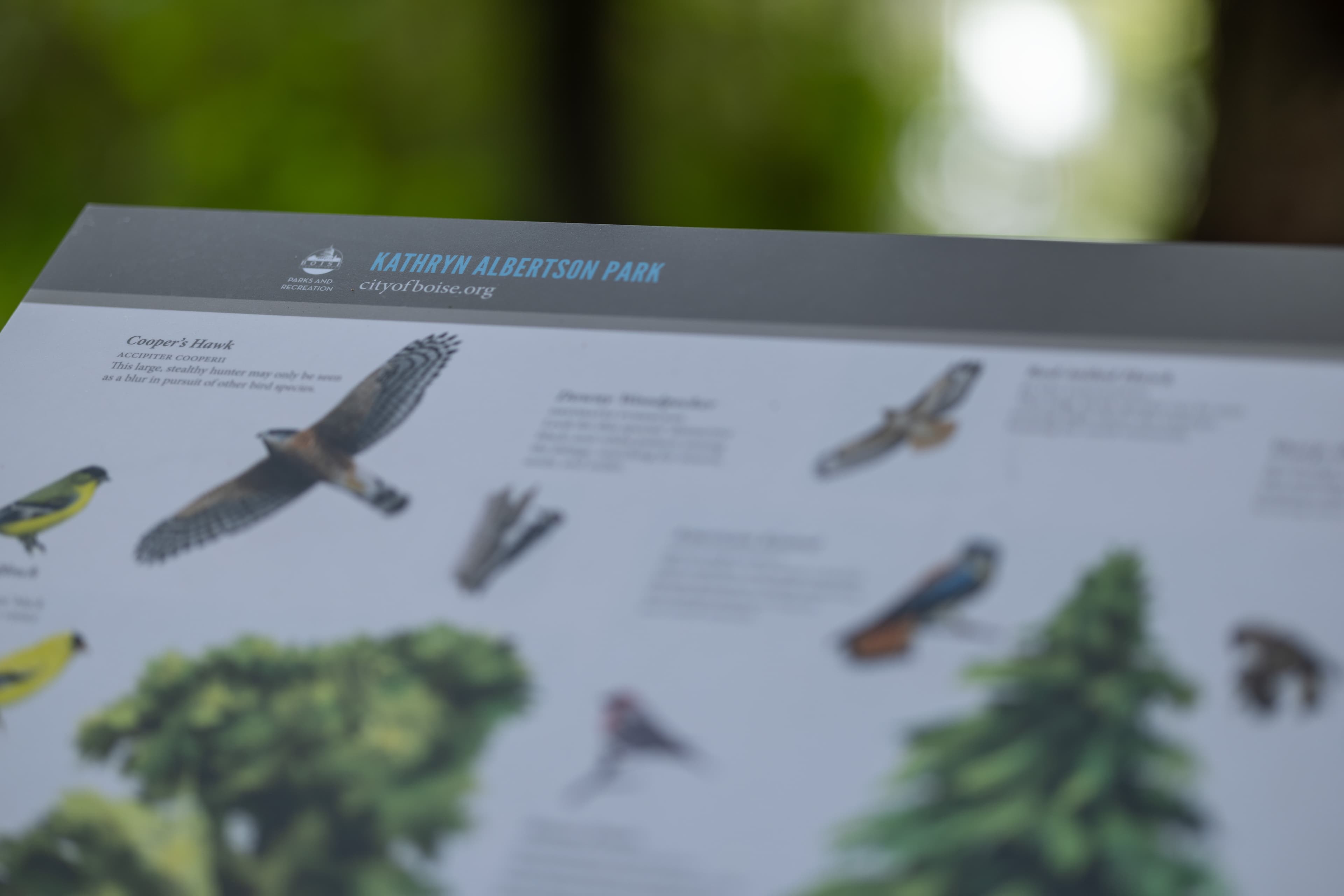 Kathryn Albertson Park