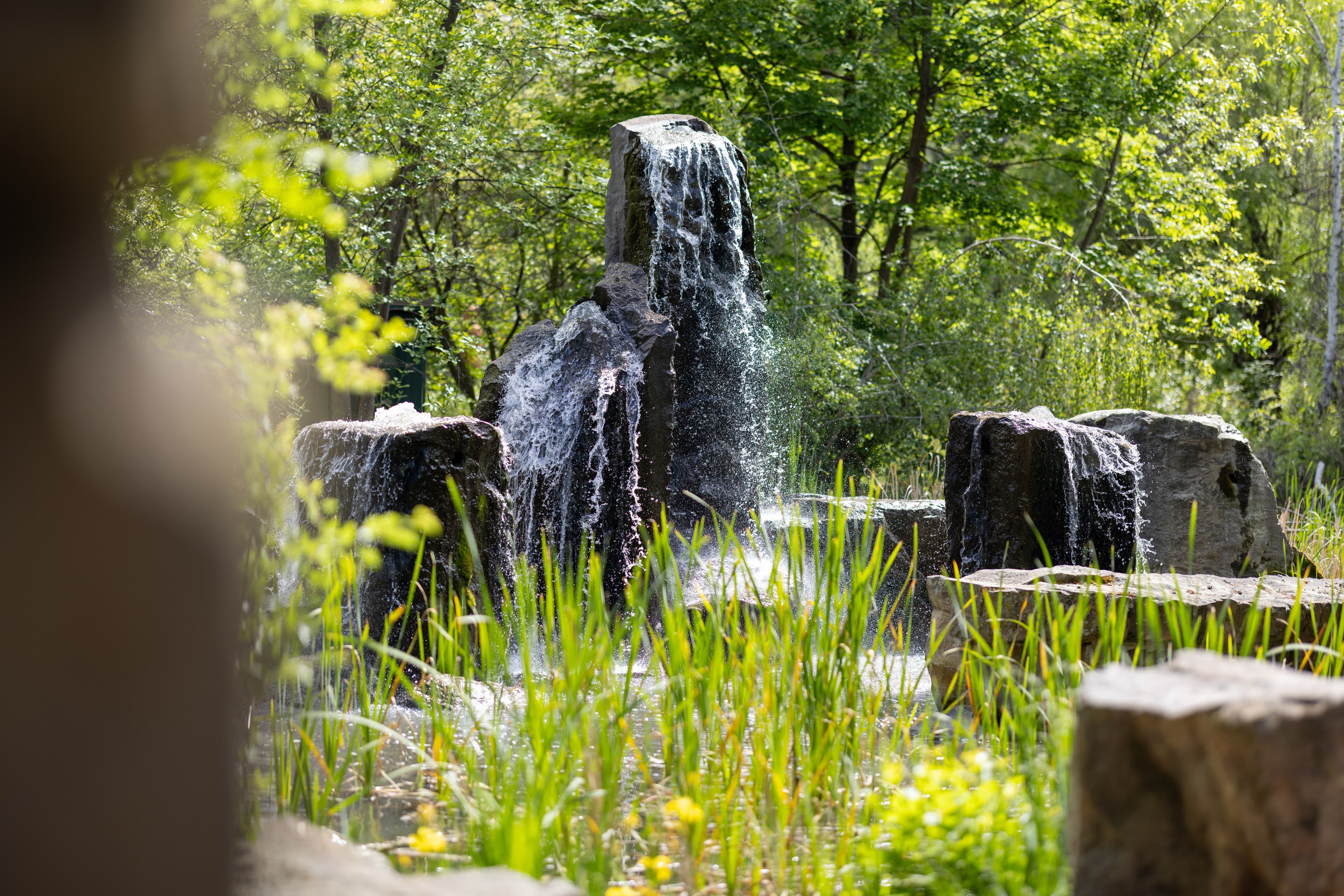 Kathryn Albertson Park