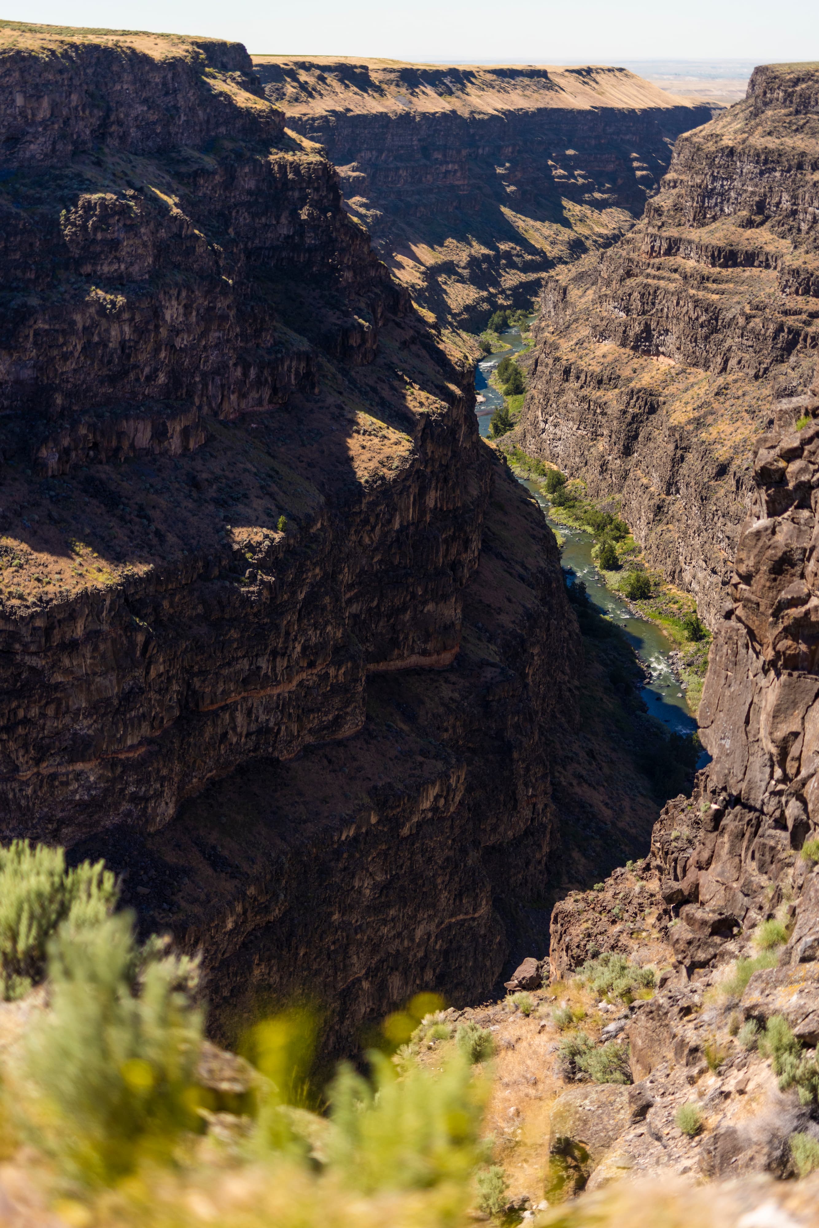 Bruneau Canyon Overlook