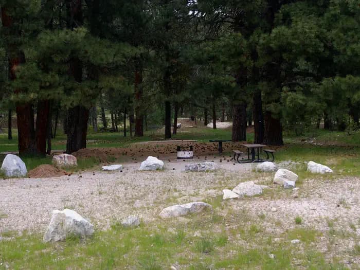 ELKS FLAT CAMPGROUND