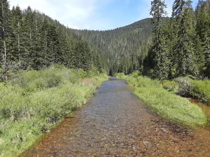 Honeysuckle Campground